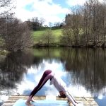 Ashtanga Vyniasa Yoga, Le Yoga de Sofie